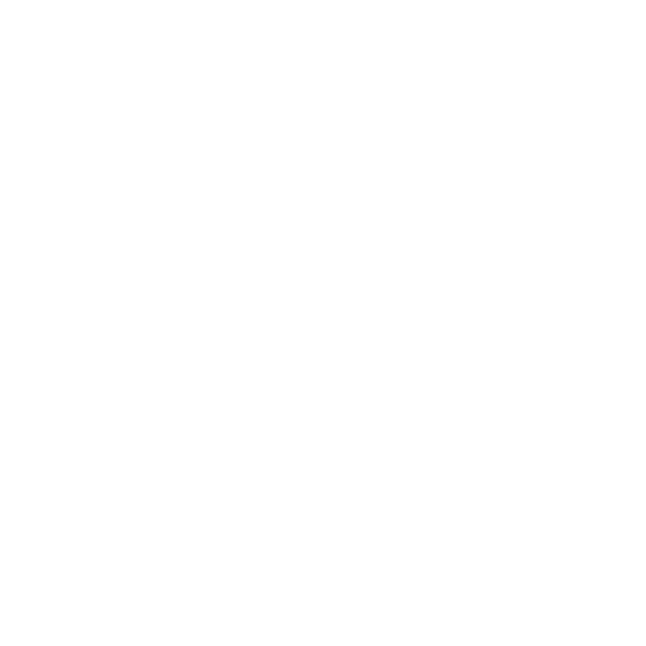 Early Bird